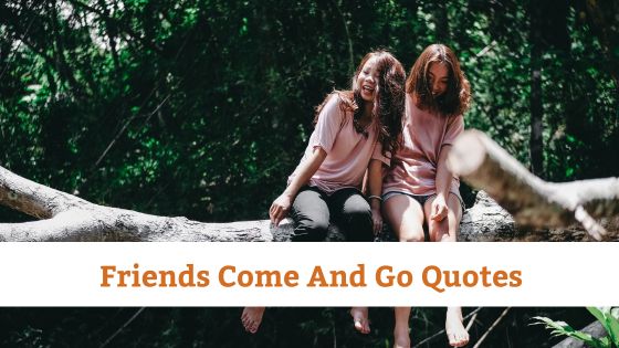 Friends Come And Go Quotes