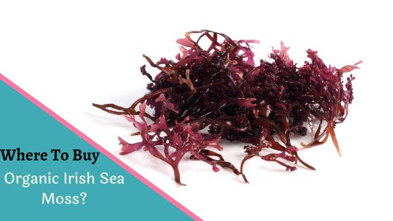 Where To Buy Organic Irish Sea Moss? - Fab Zania