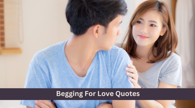 Begging For Love Quotes