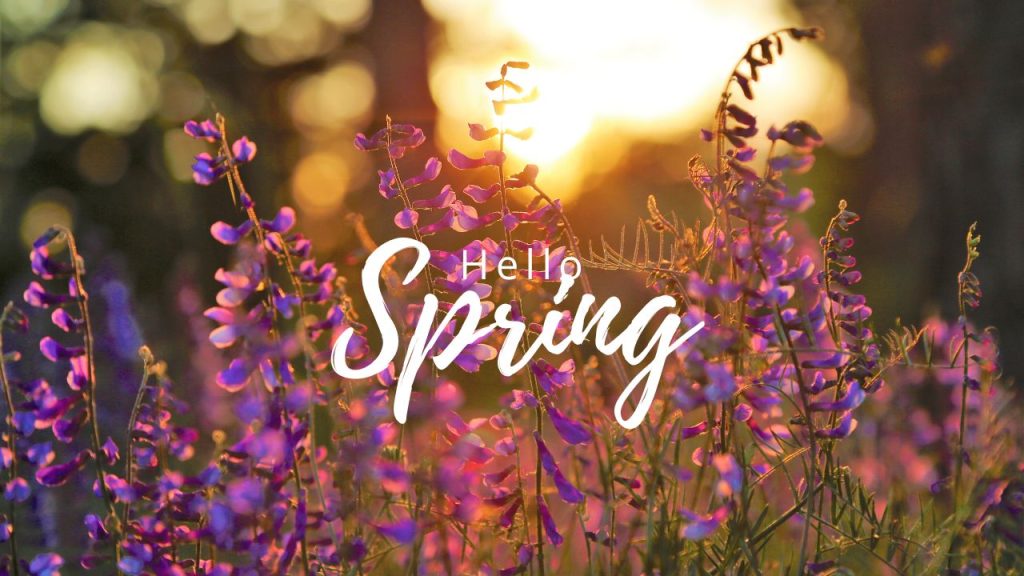 50 HELLO SPRING QUOTES & SAYINGS