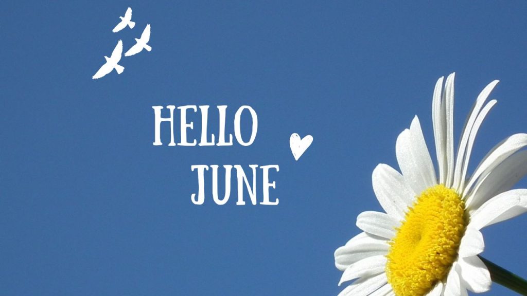 101 Hello June Captions for Instagram