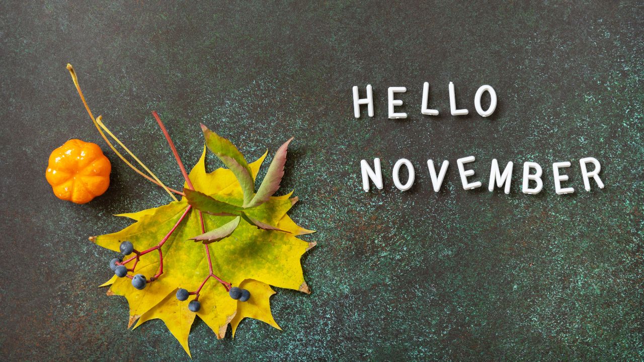 November In Short 150 Short & Sweet November One-Liner Captions - Fab Zania