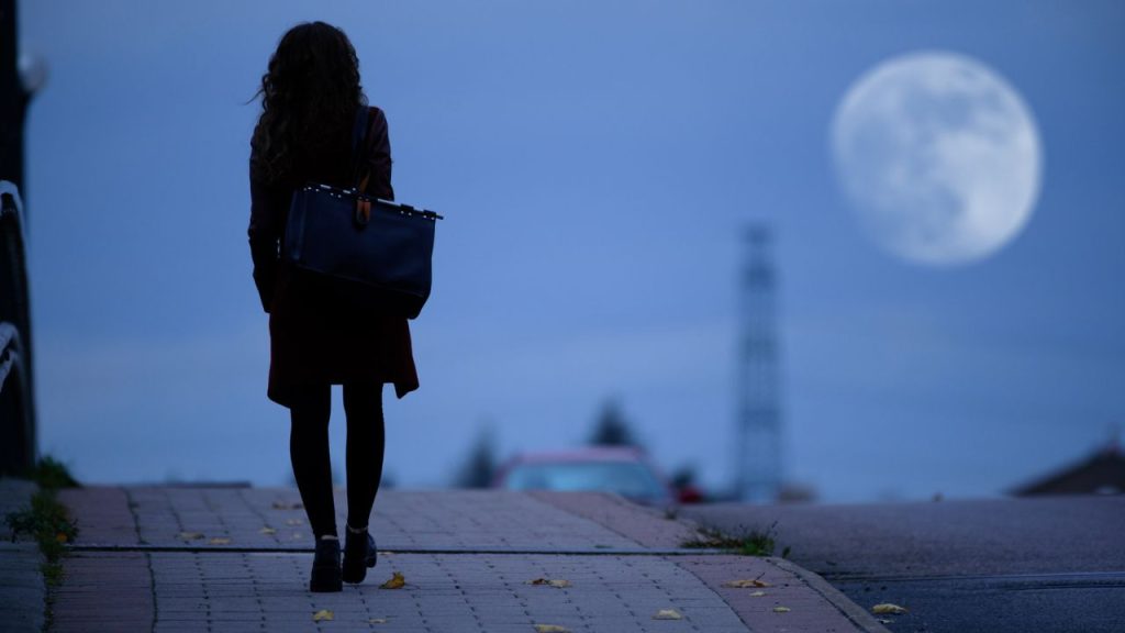 Moonlit Evening Walk